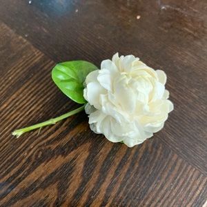 Meet your Posher, Jasmine